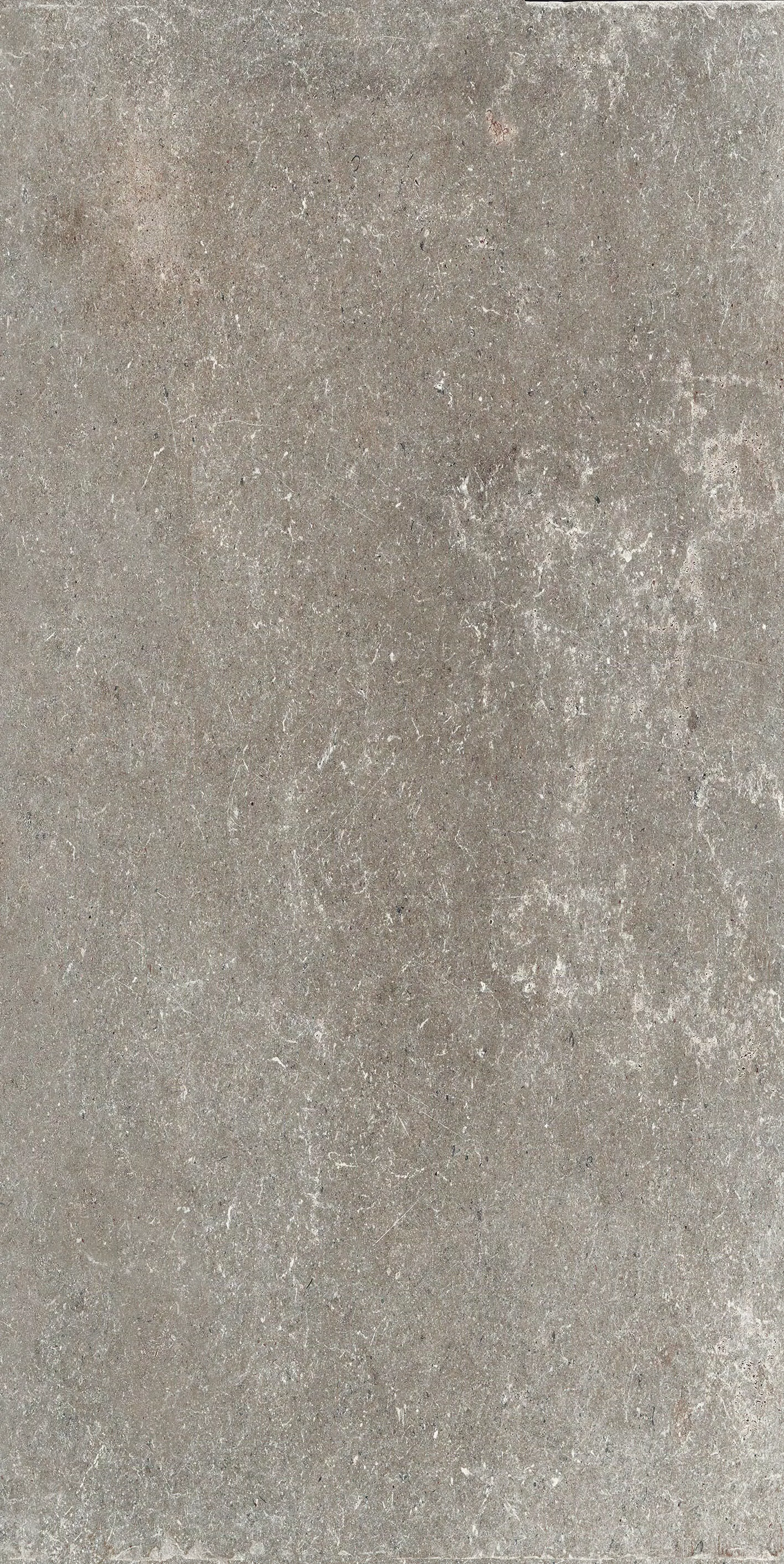 Stontech/4.0 Stone_03 60X120 Naturale 761174 | Florim