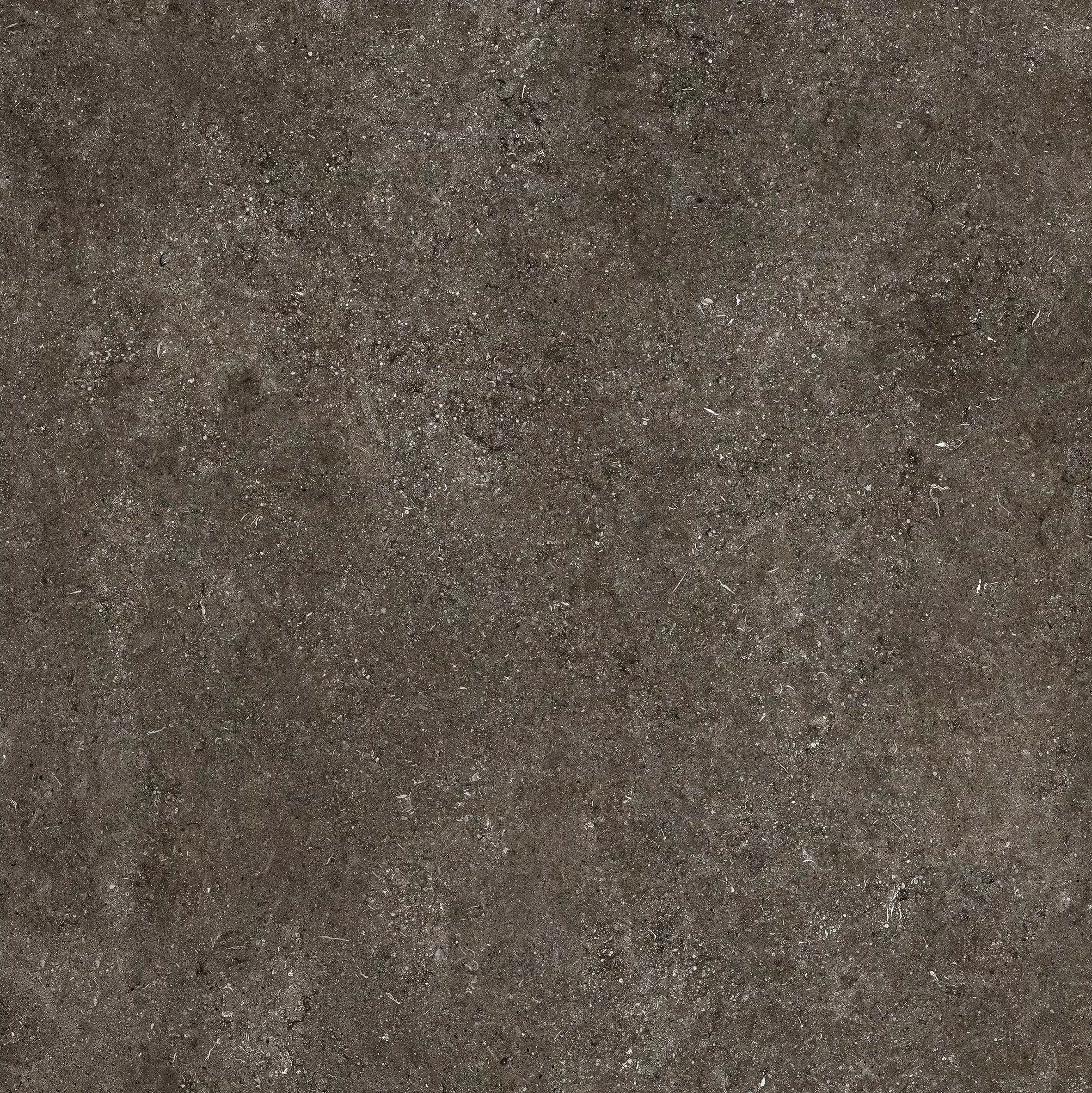 Sensi Brown Fossil 120X120 Matte - 768560 | Florim