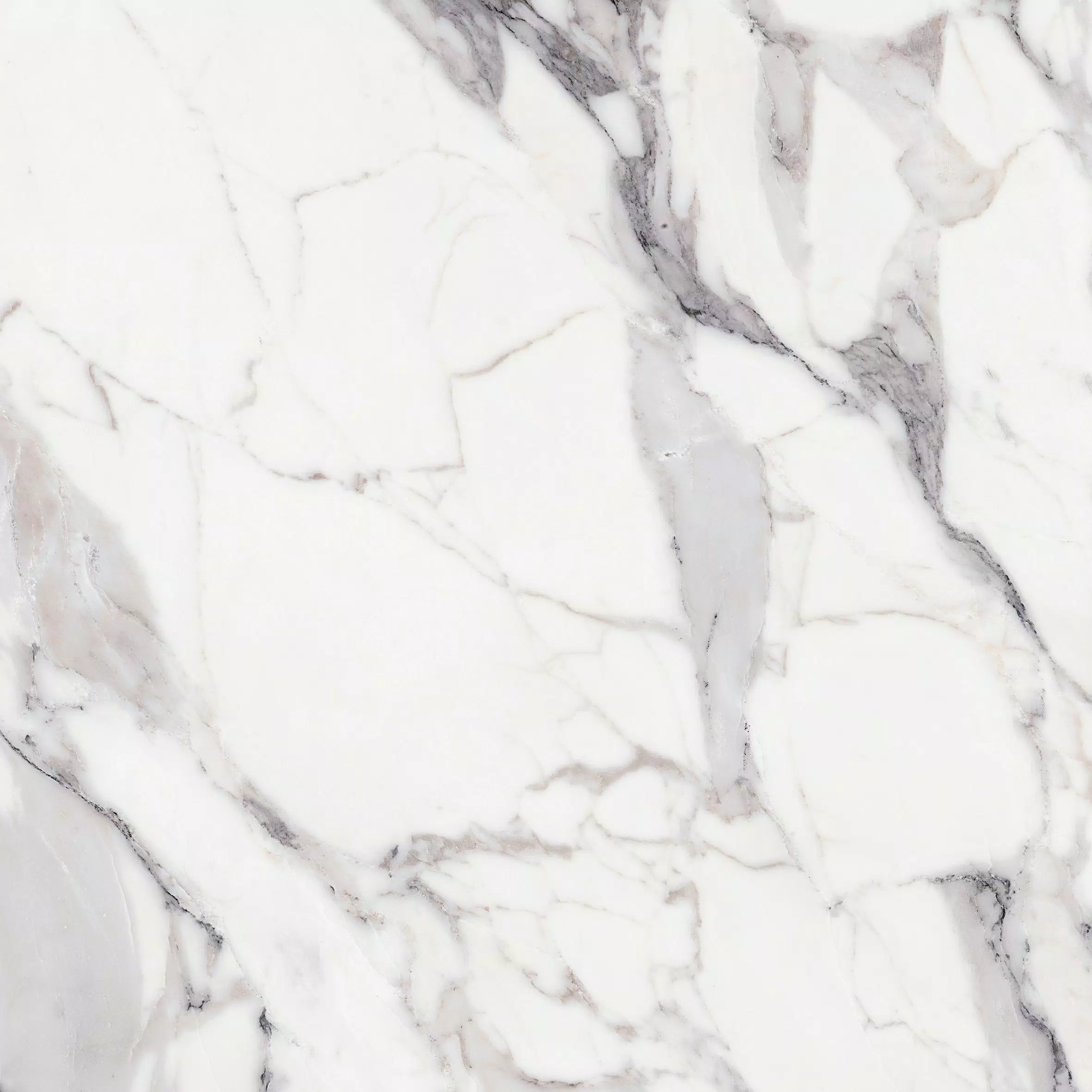 Les Origines Origines Argent 120X120 Glossy - 769959 | Florim