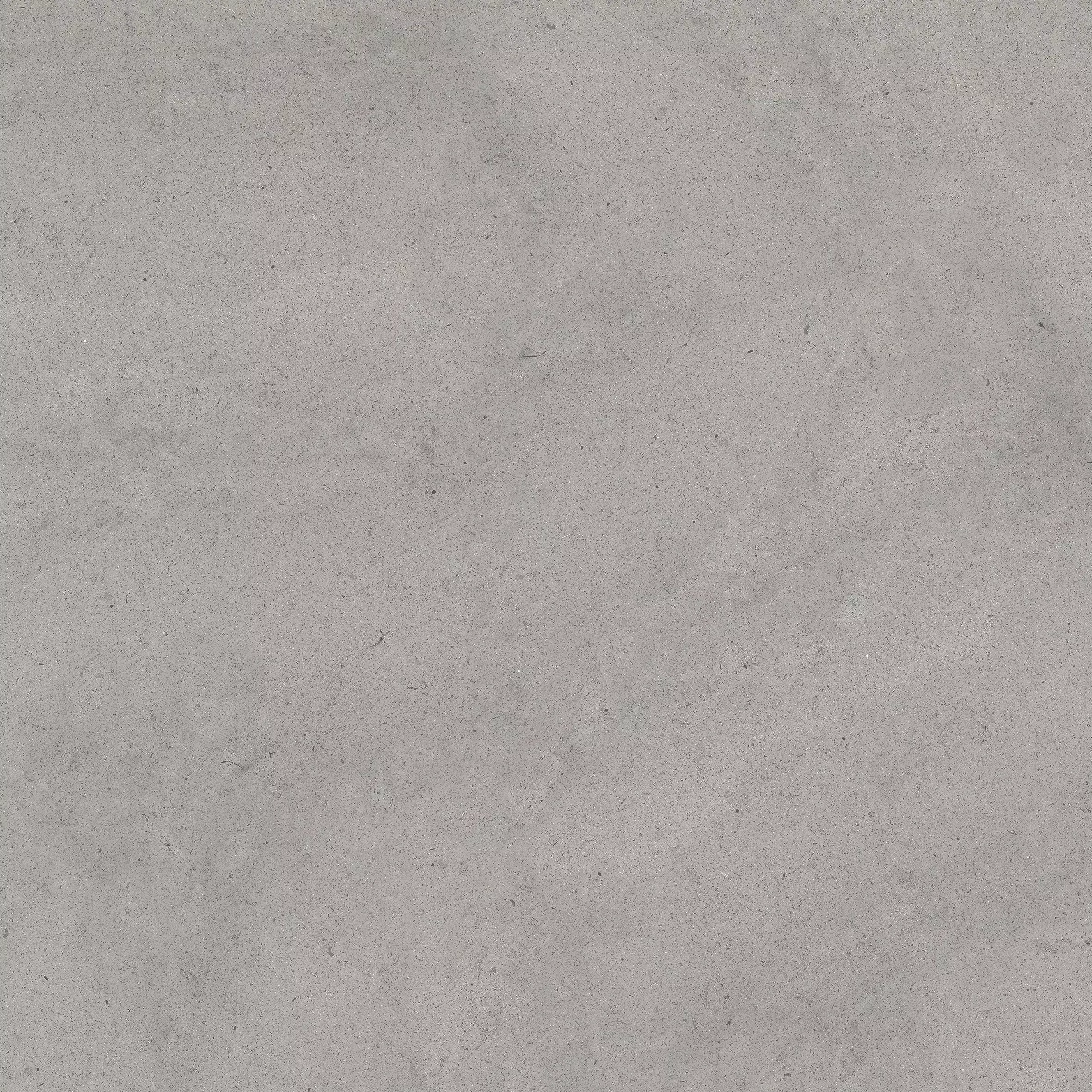 Sensi Grey Dust 120X120 Matte - 768555 | Florim