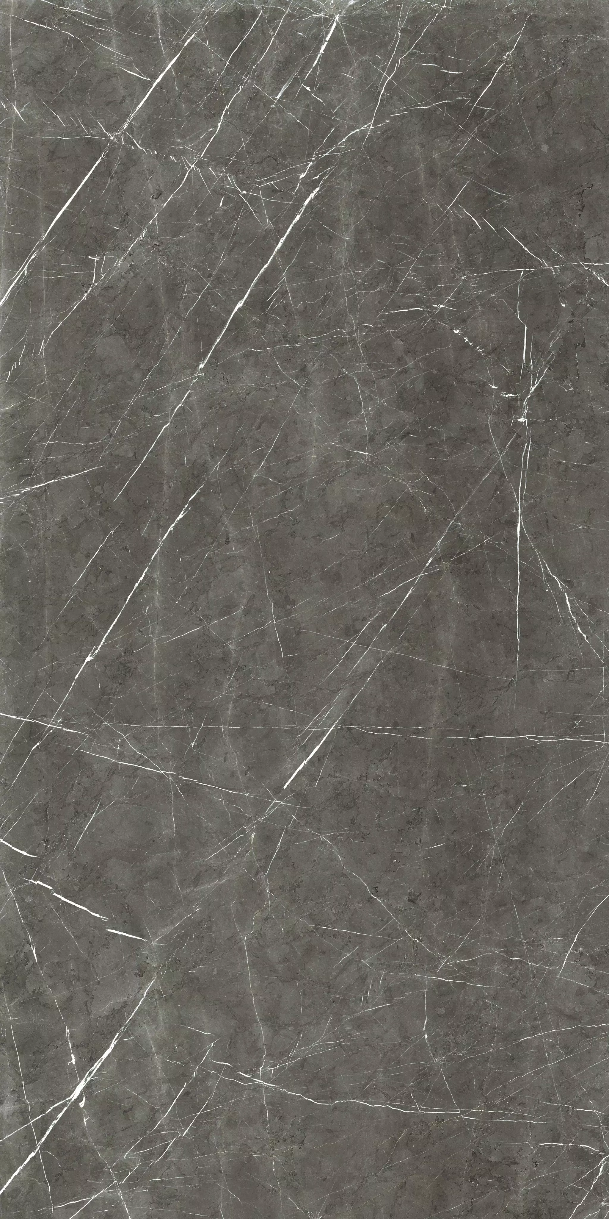 Marble Marble Gray** 160X320 Glossy - 759749 | Florim