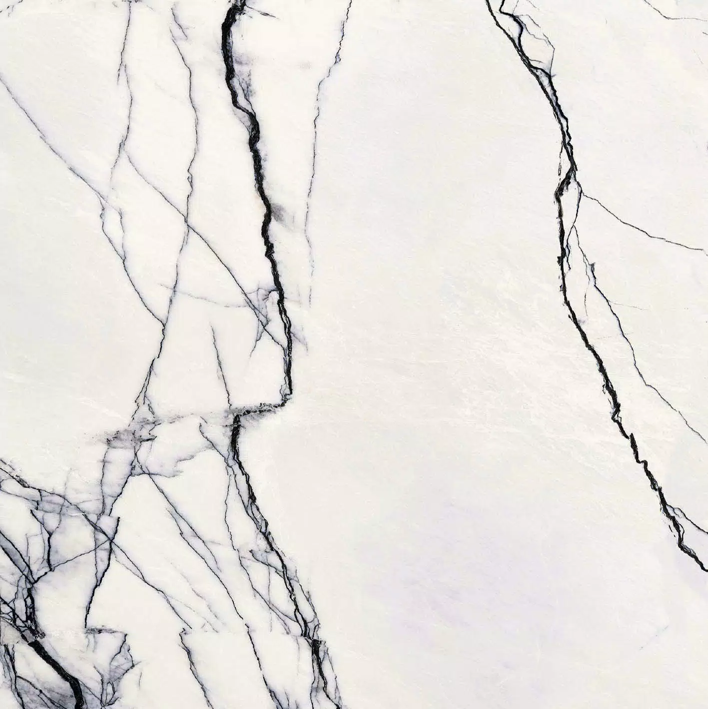 B&W_Marble Breach 120X120 High-Glossy - 765575 | Florim