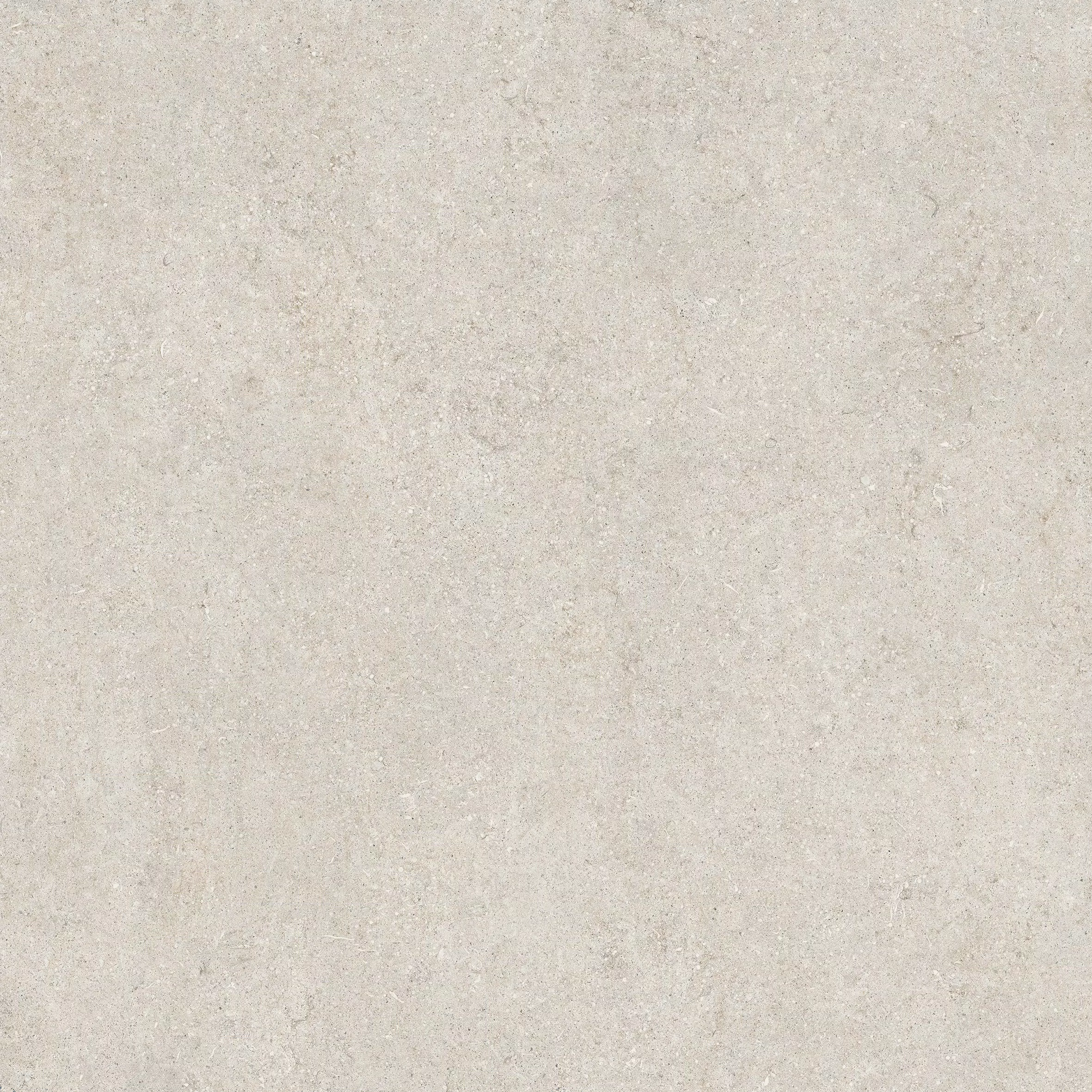 Sensi White Fossil 120X120 Matte - 768552 | Florim