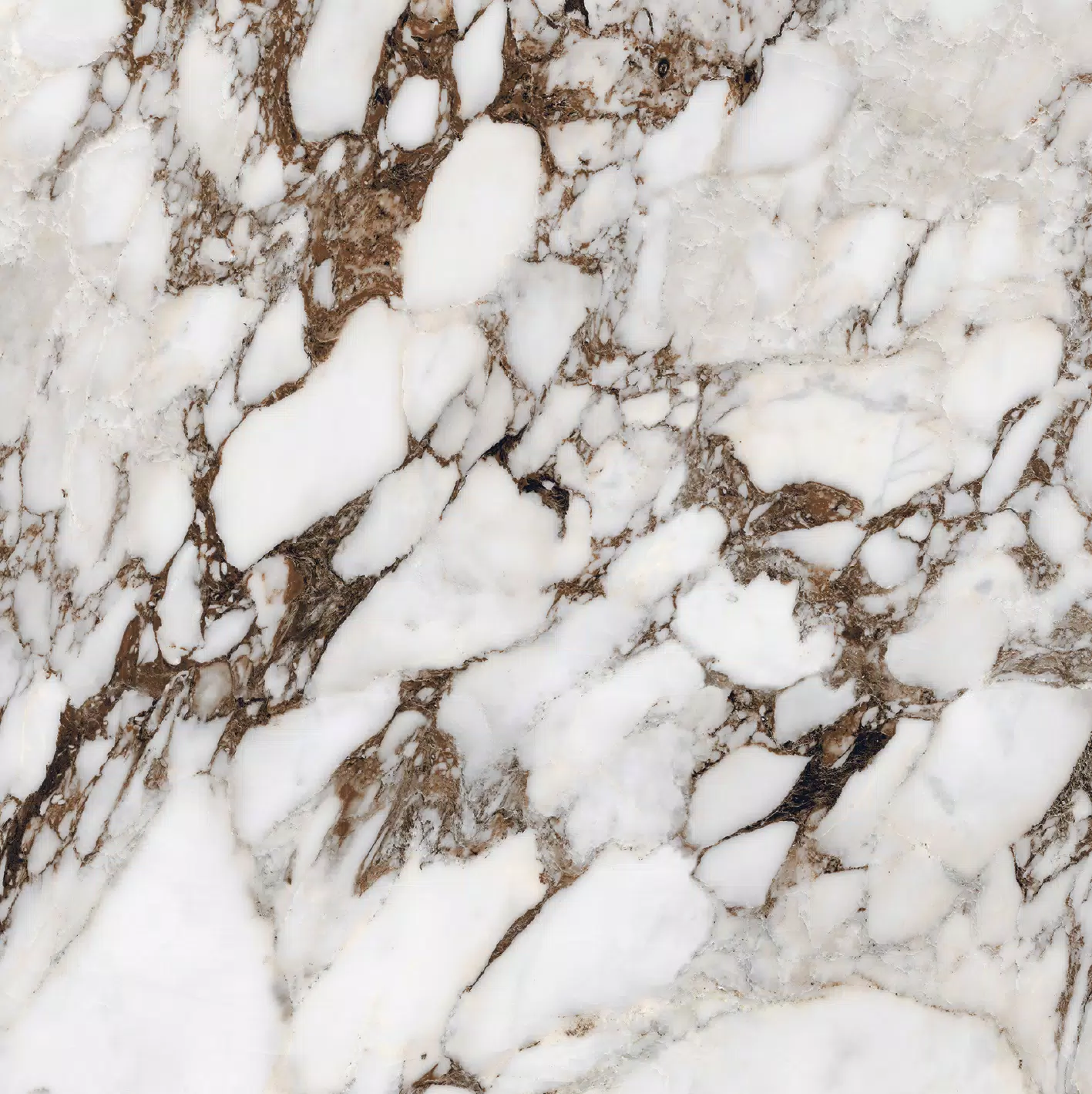 Les Bijoux Brèche Capraia 120X120 Glossy - 765762 | Florim