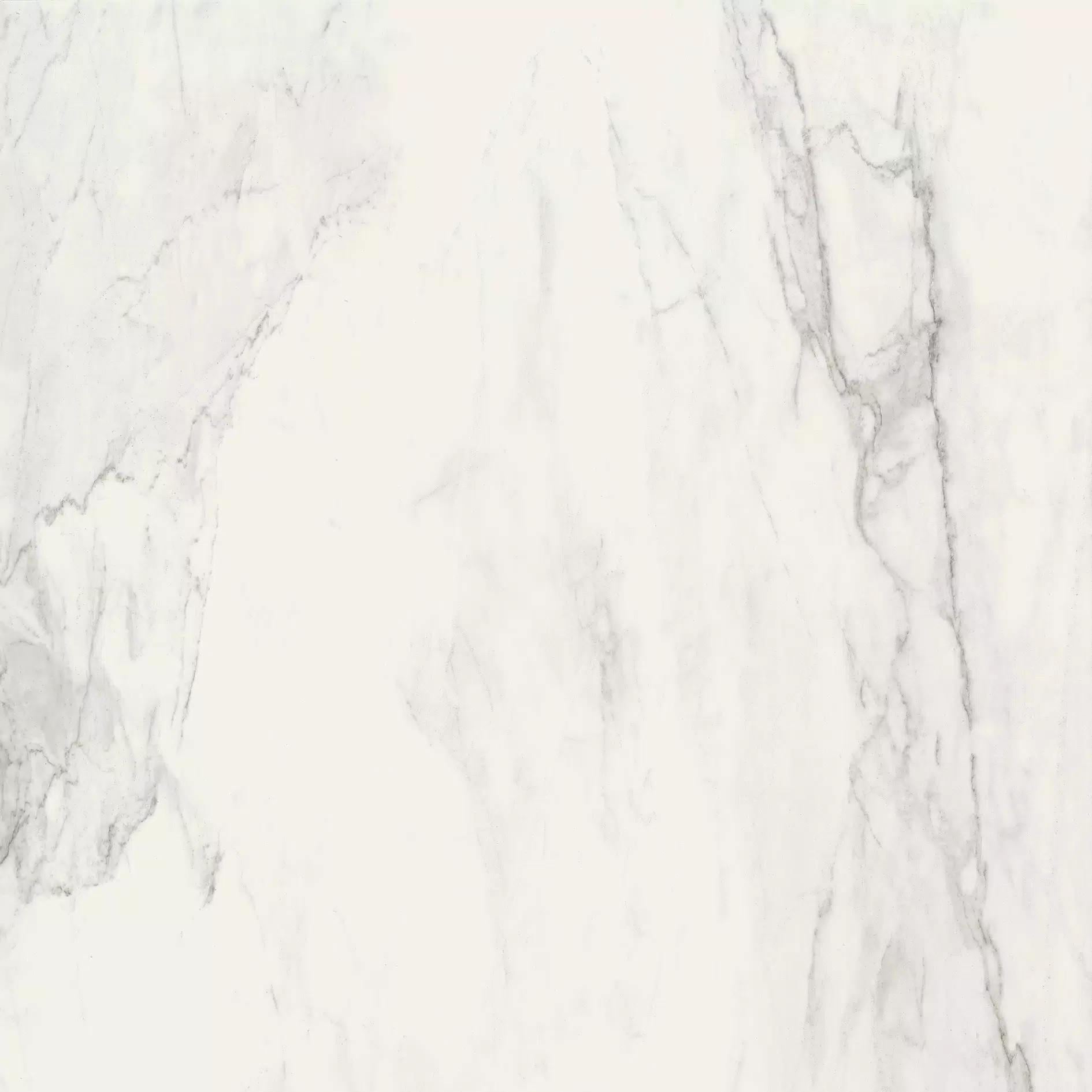 Stones & More 2.0 Stone Calacatta 120X120 Glossy - 751781 | Florim