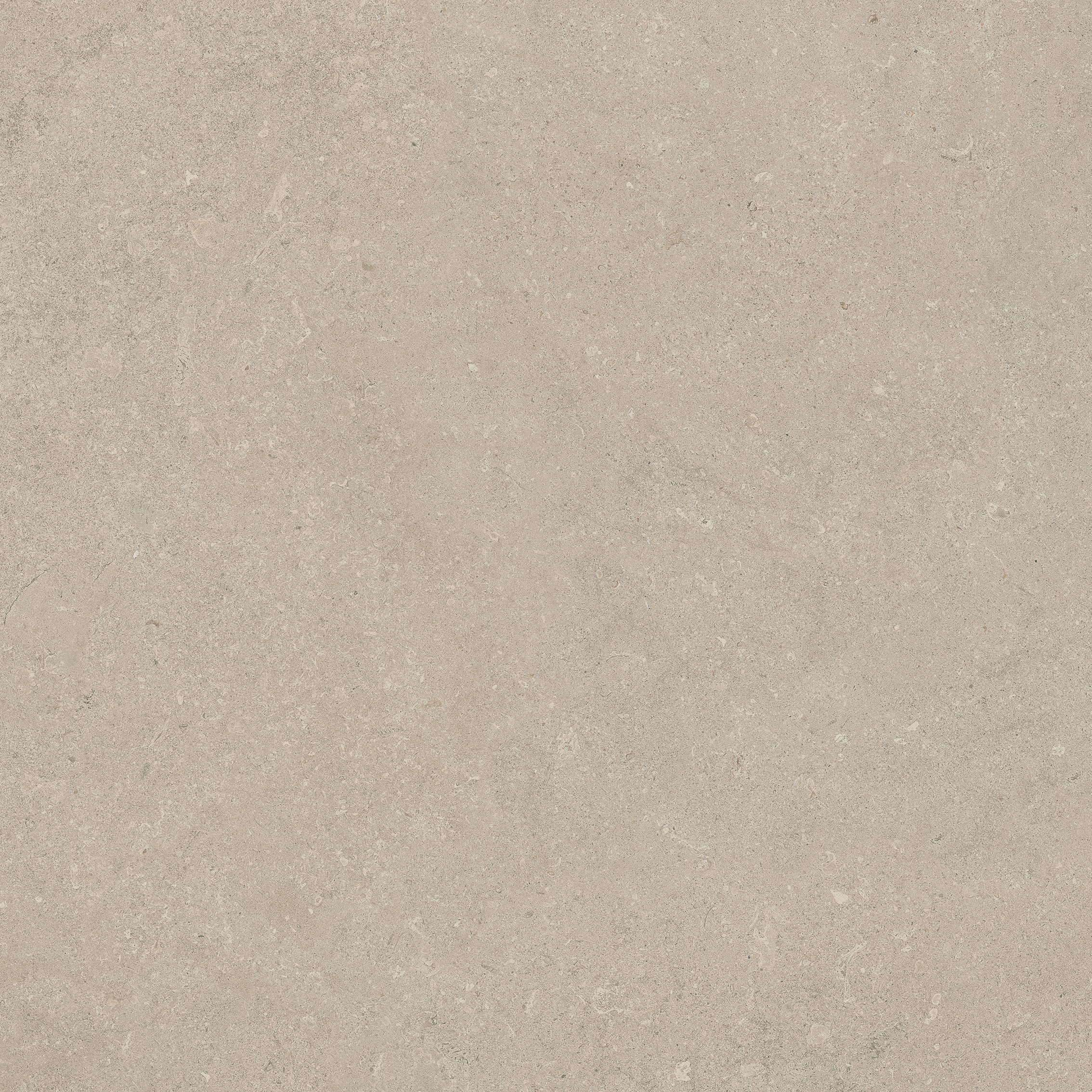 Color Stone Chablis | Florim