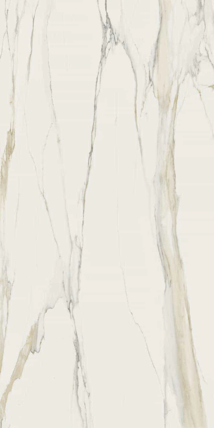 Marble Calacatta Gold B | Florim