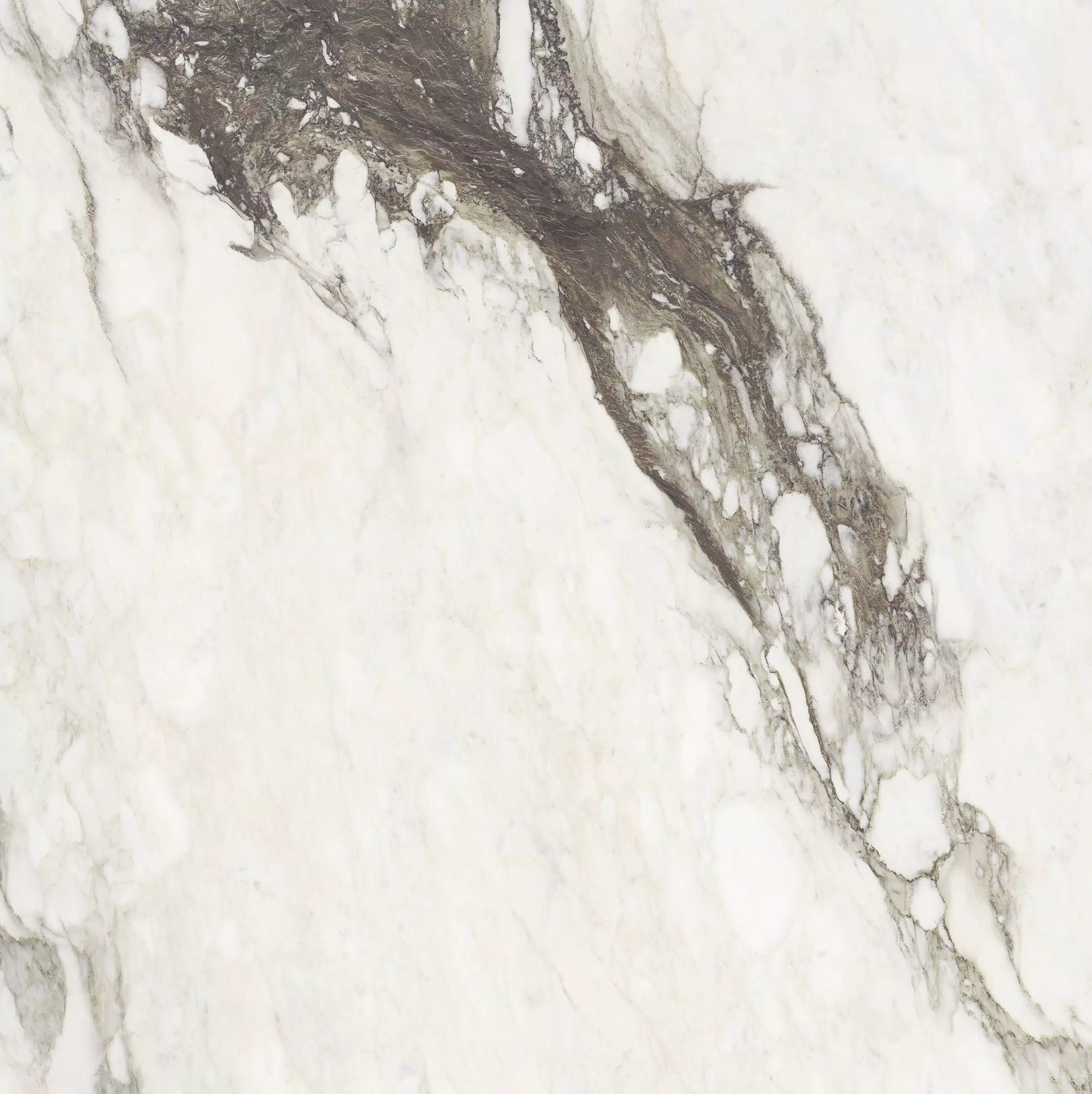 Étoile Étoile Renoir 120X120 Glossy 761749 | Florim