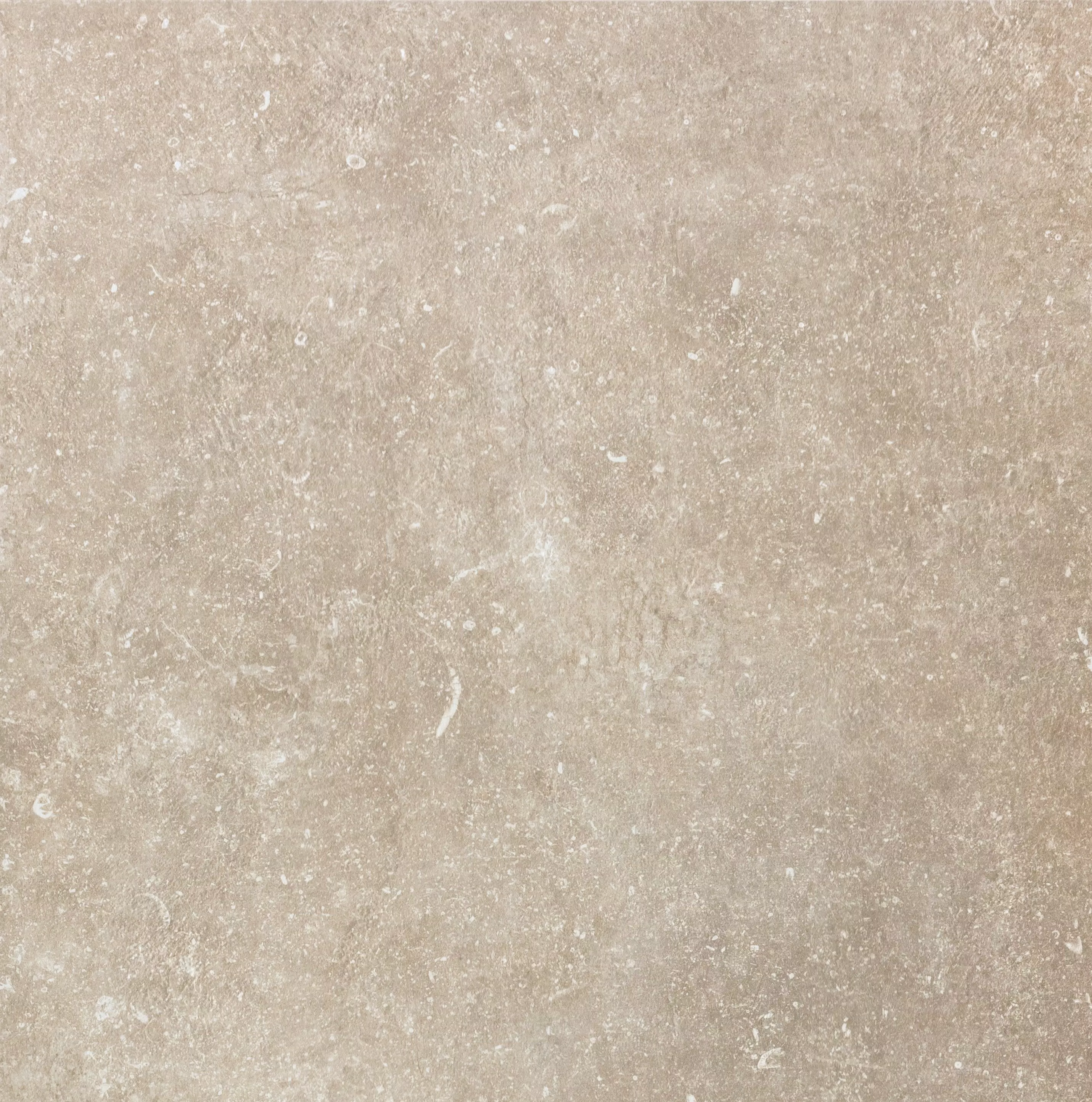 Atmosphères Aurore 80X80 Sablé - 773378 | Florim