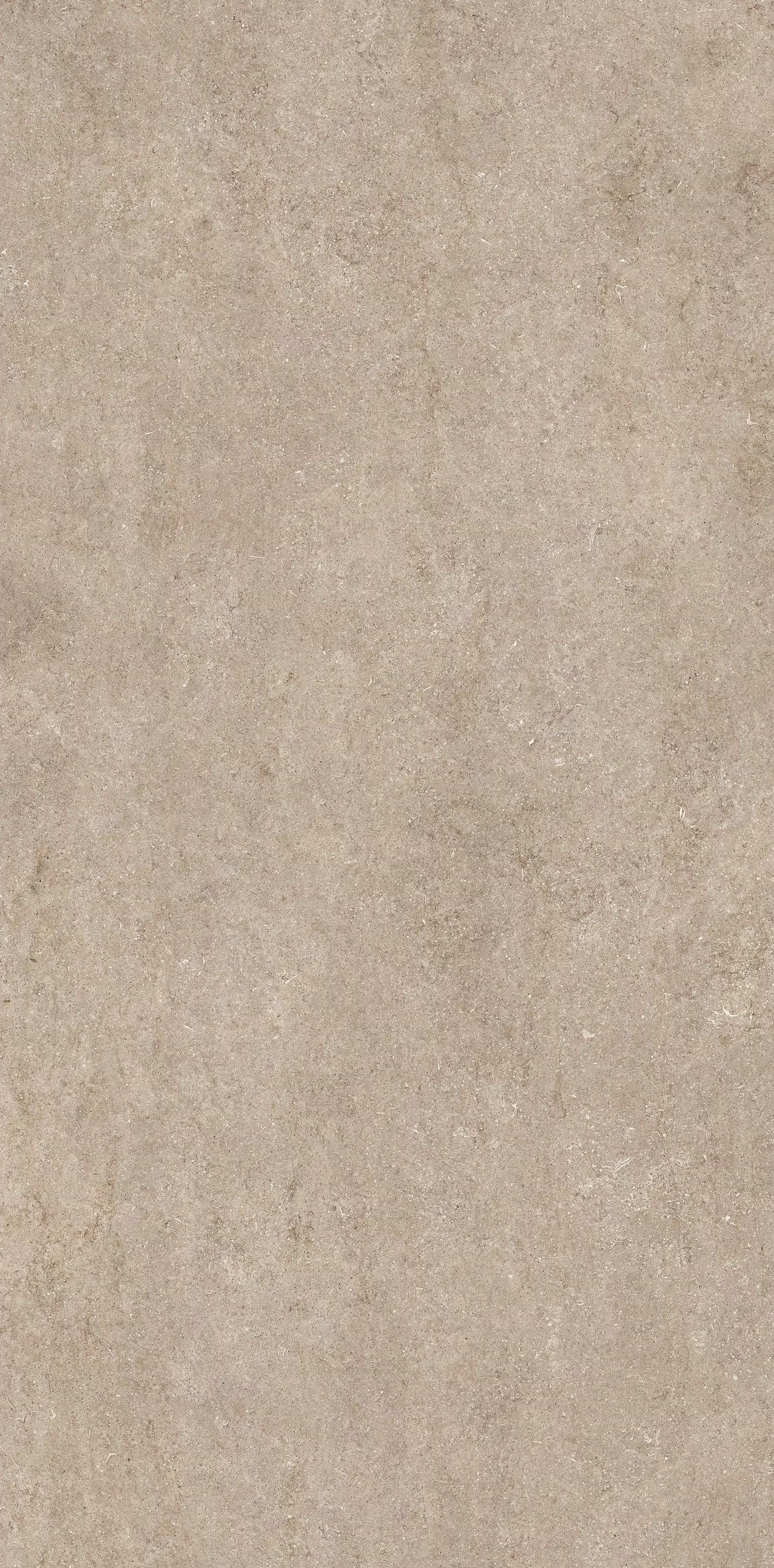 Stone Fossil Ivory** 160X320 Matte - 768759 | Florim