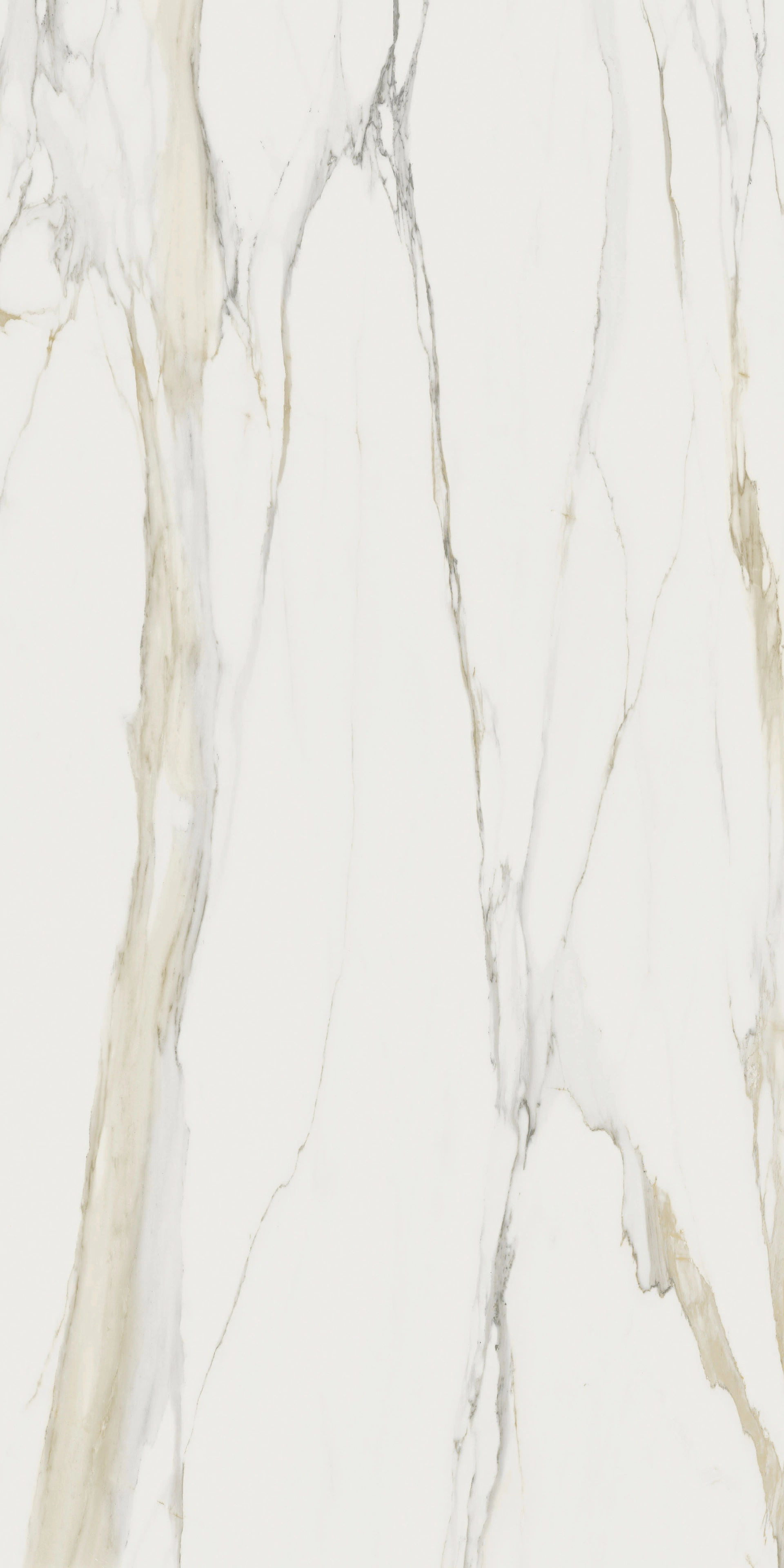 Marble Calacatta Gold A | Florim