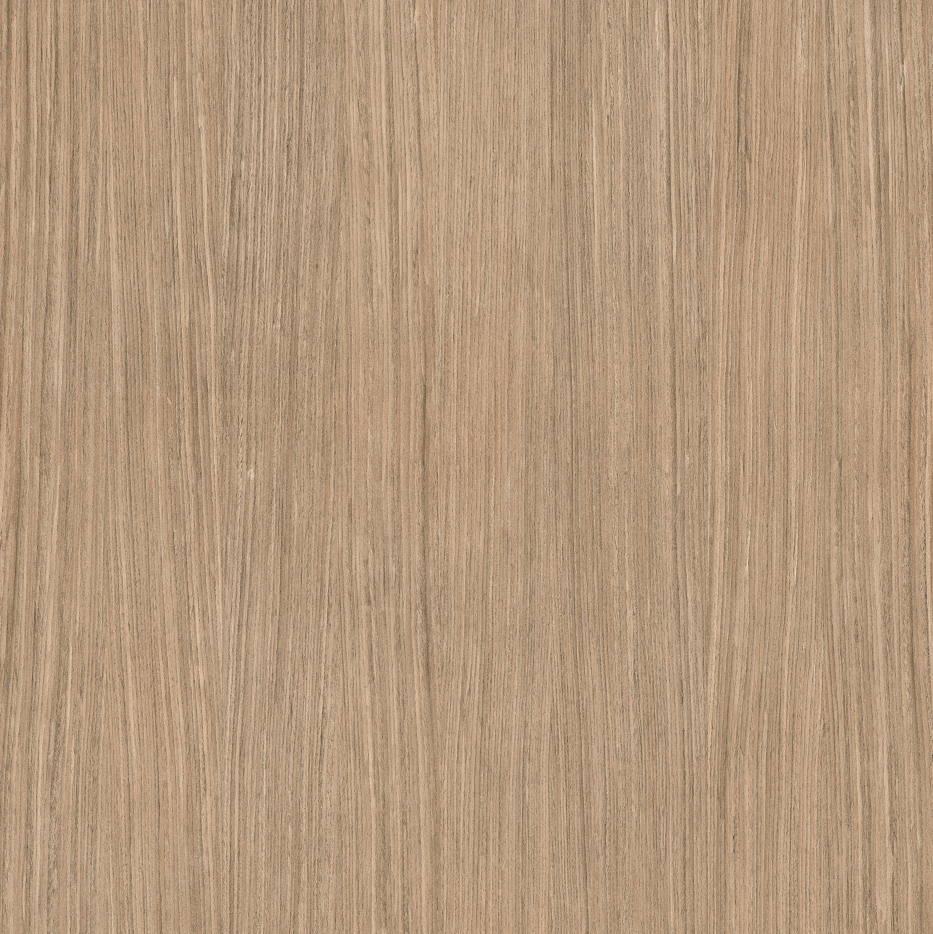 Plank 01 | Florim
