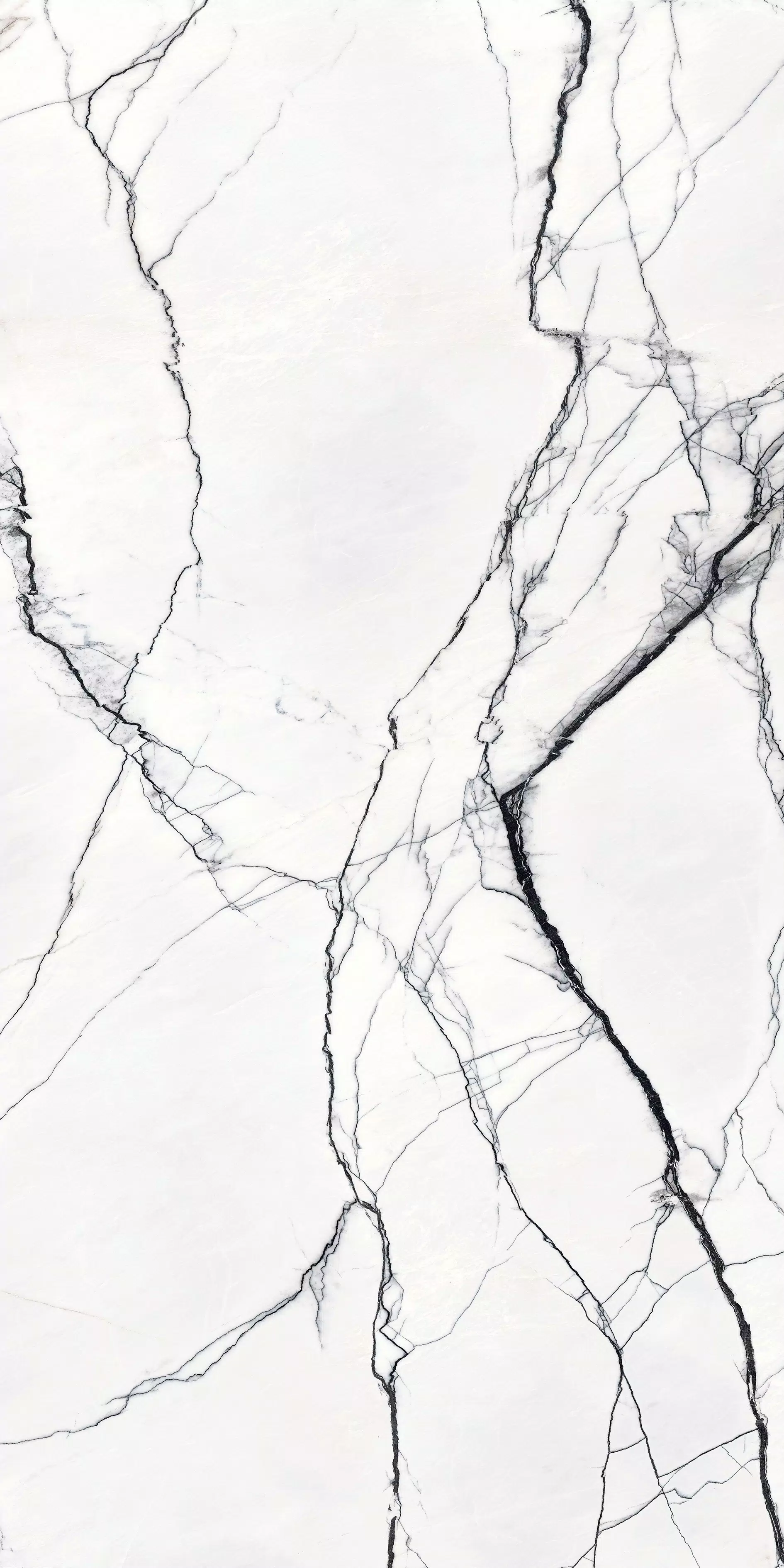 Marble Marble Breach B** 160X320 Glossy - 768750 | Florim