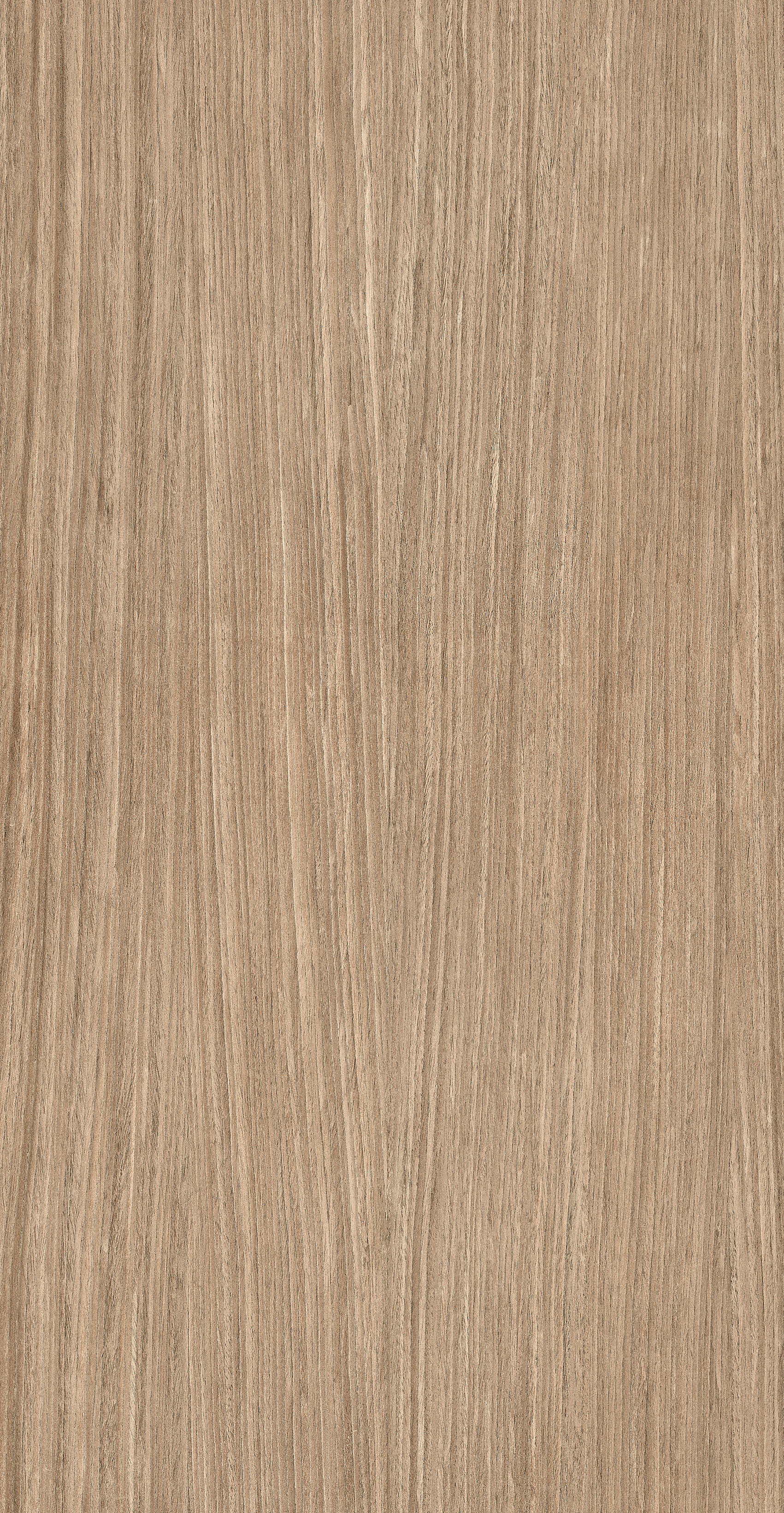 Color Plank 01 | Florim