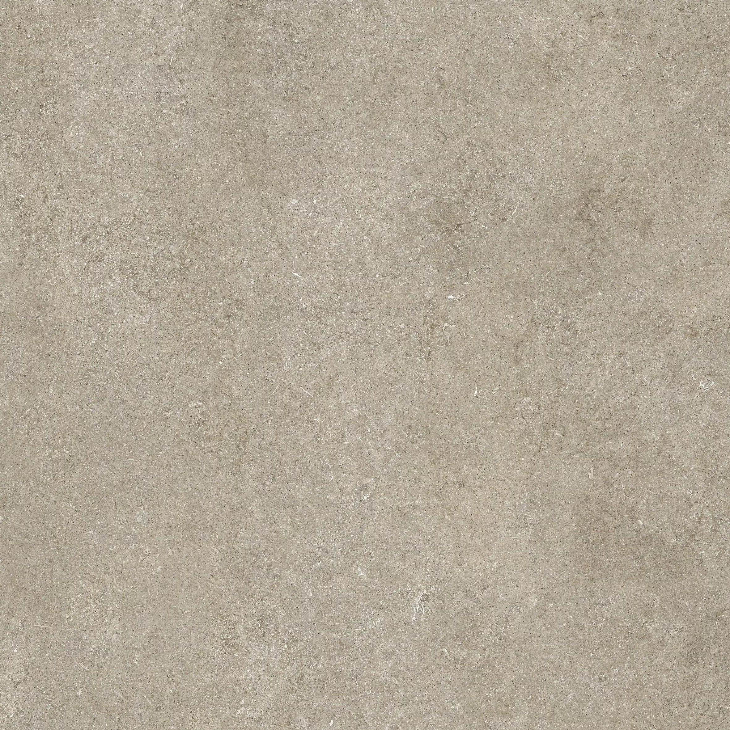 Sensi Ivory Fossil 120X120 Matte - 768554 | Florim
