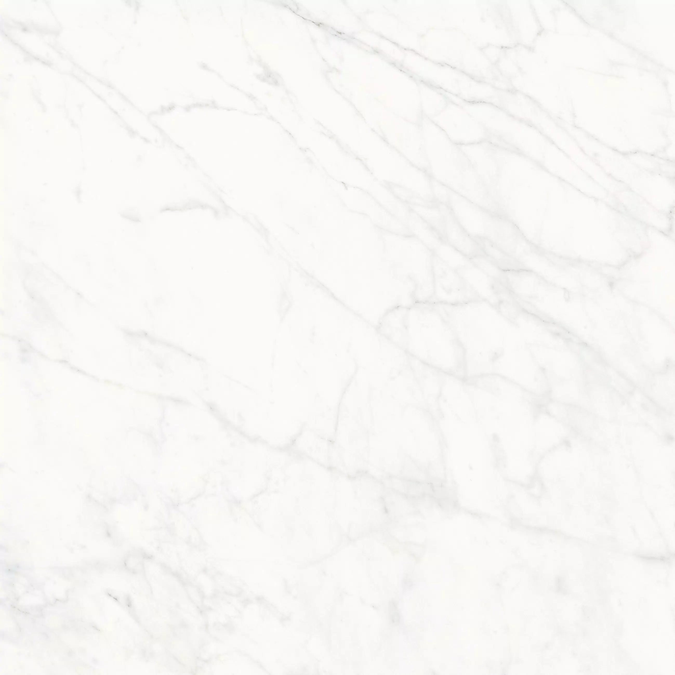 Stontech/4.0 Stone_01 120X120 High-Glossy 761512 | Florim