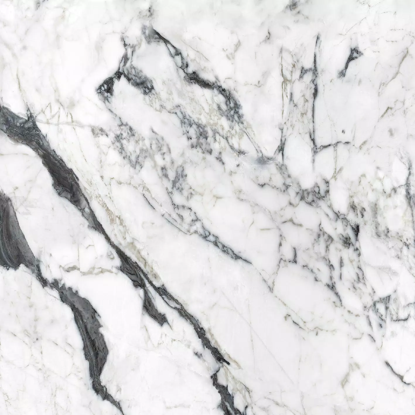Les Bijoux Calacatta Altissimo Blanc 120X120 Glossy - 765759 | Florim