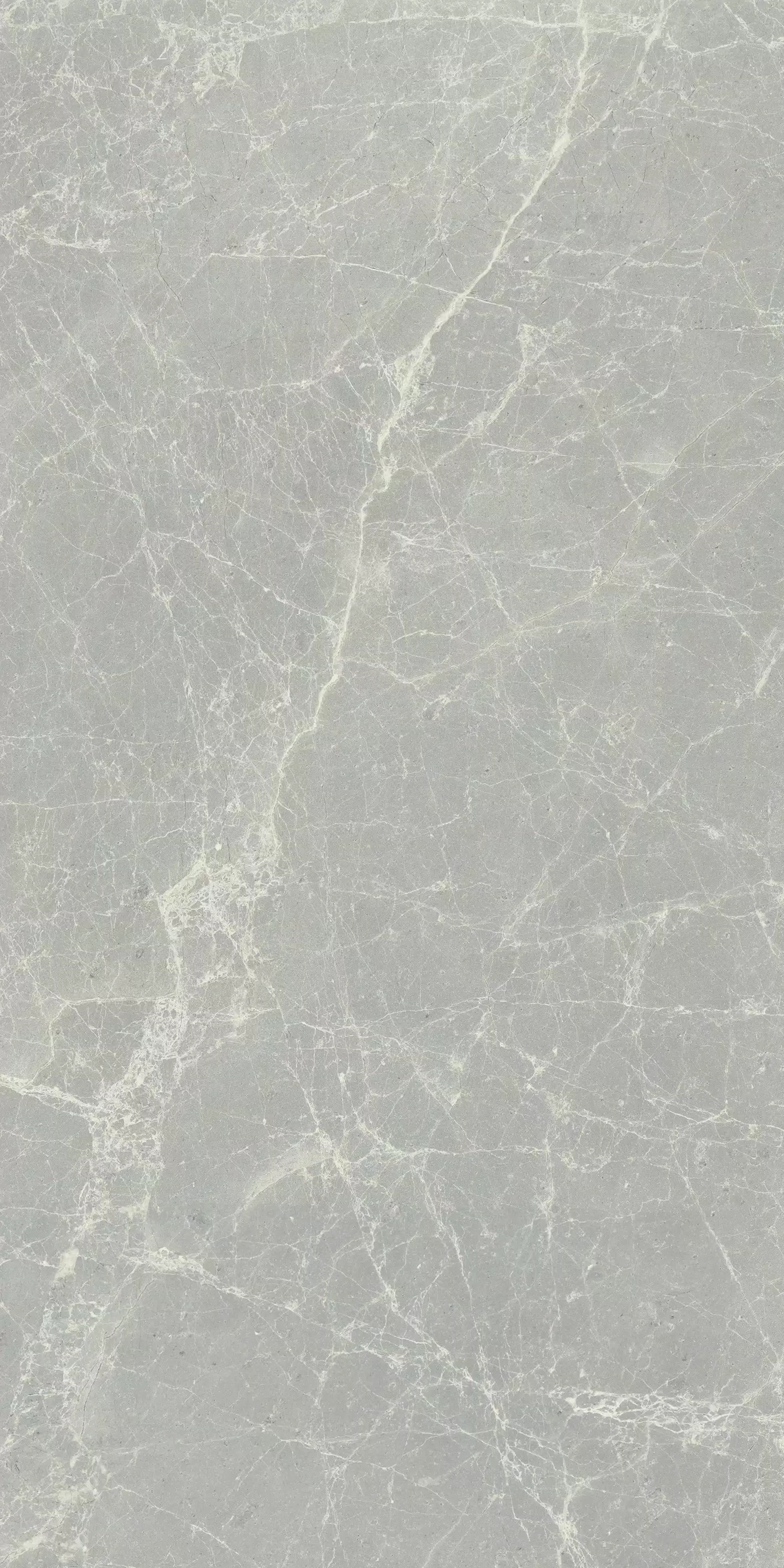 Exalt Silver Light 60X120 Lucida 760032 | Florim