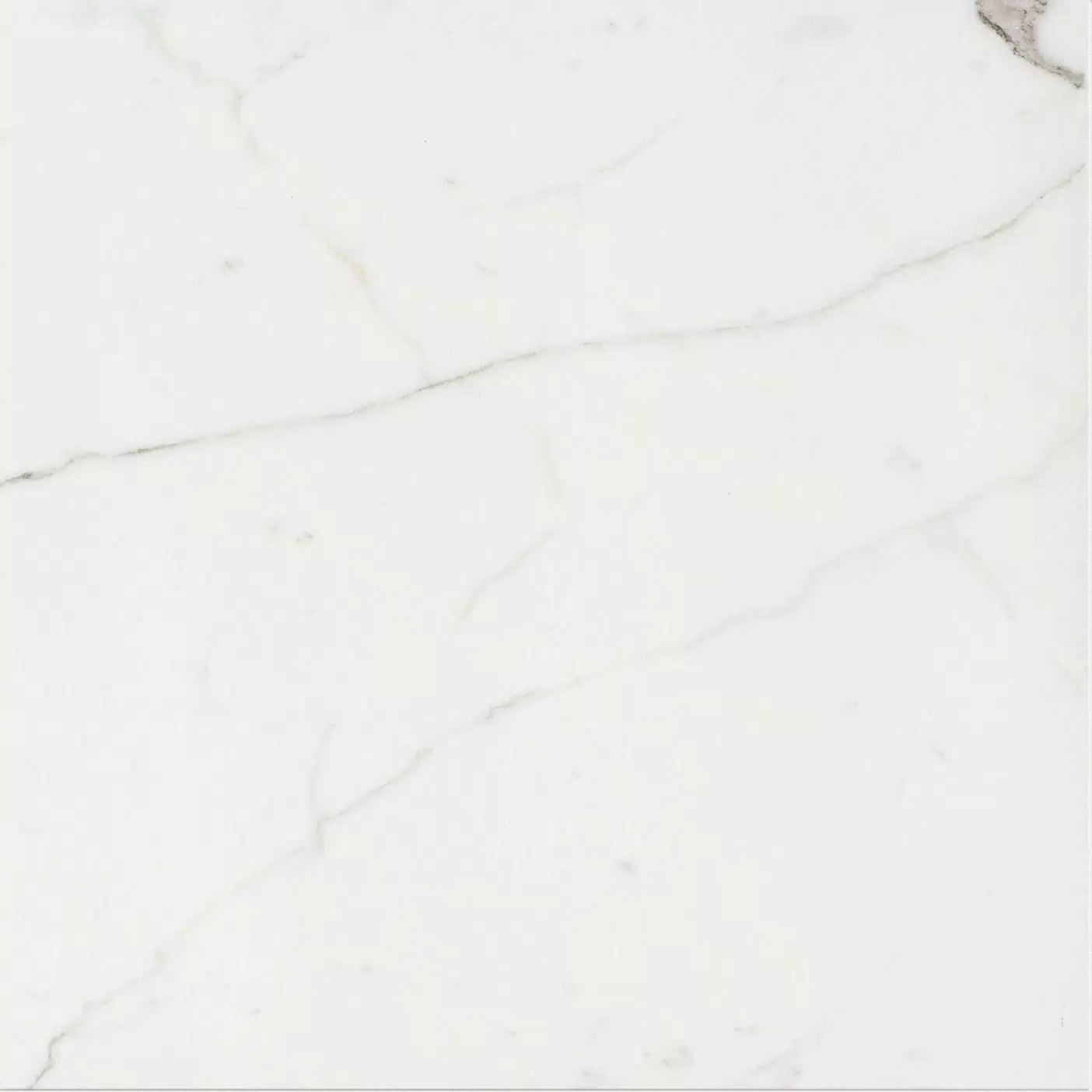 Timeless Calacatta 60X60 Lucida 746855 | Florim
