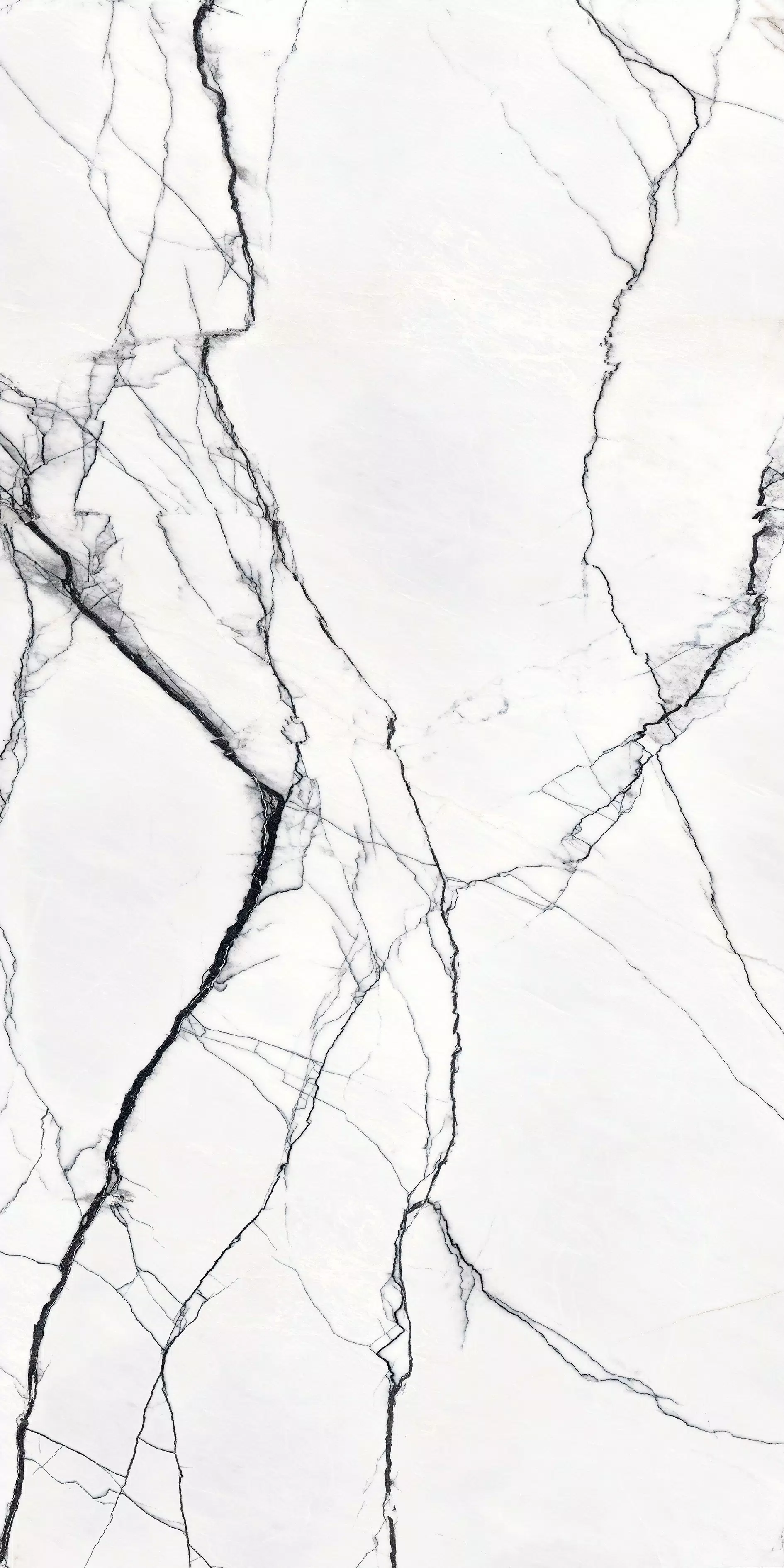 Marble Marble Breach A** 160X320 Glossy - 768749 | Florim